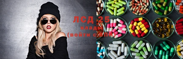 мяу мяу мука Баксан